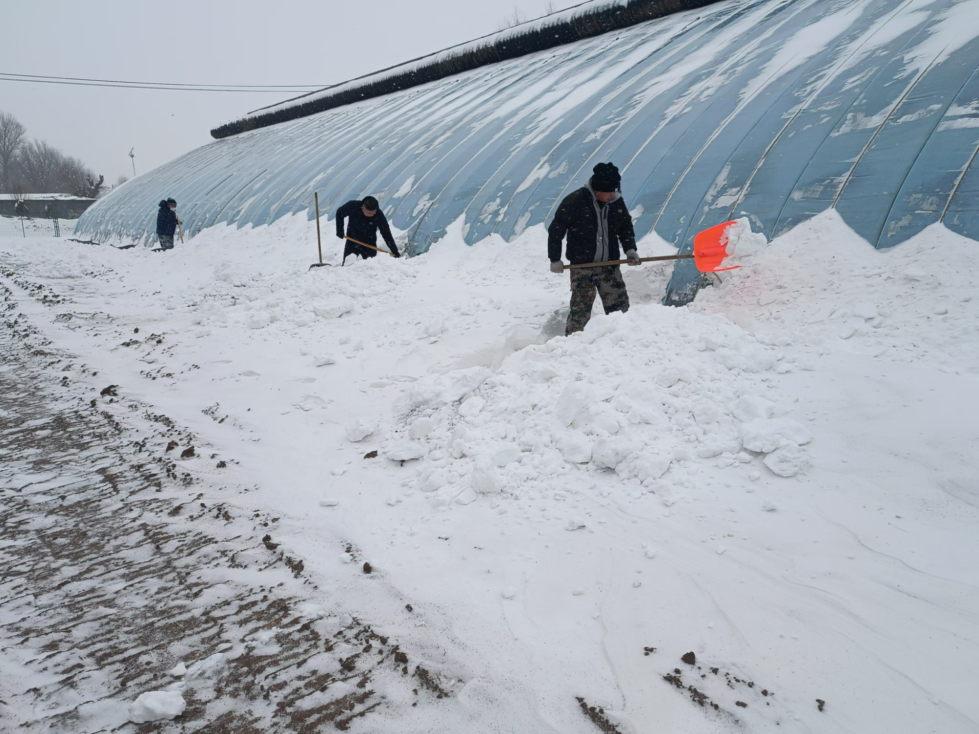 除雪不停歇 沈阳法库畅通春运团圆路