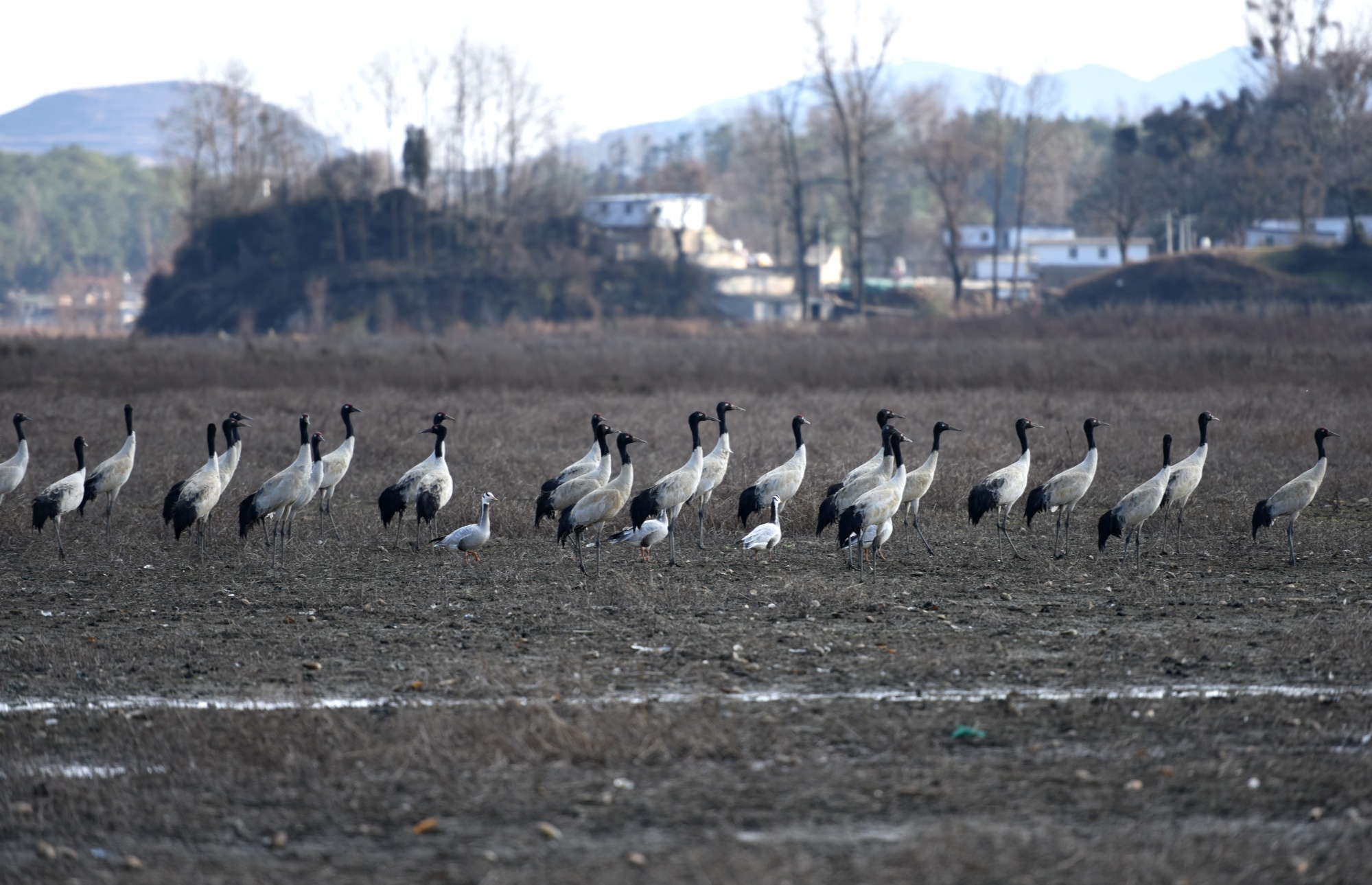 威宁草海天气预报 威宁草海天气预报