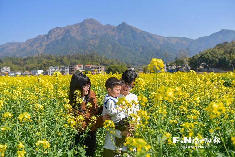 罗源杭山村：油菜花开引客来