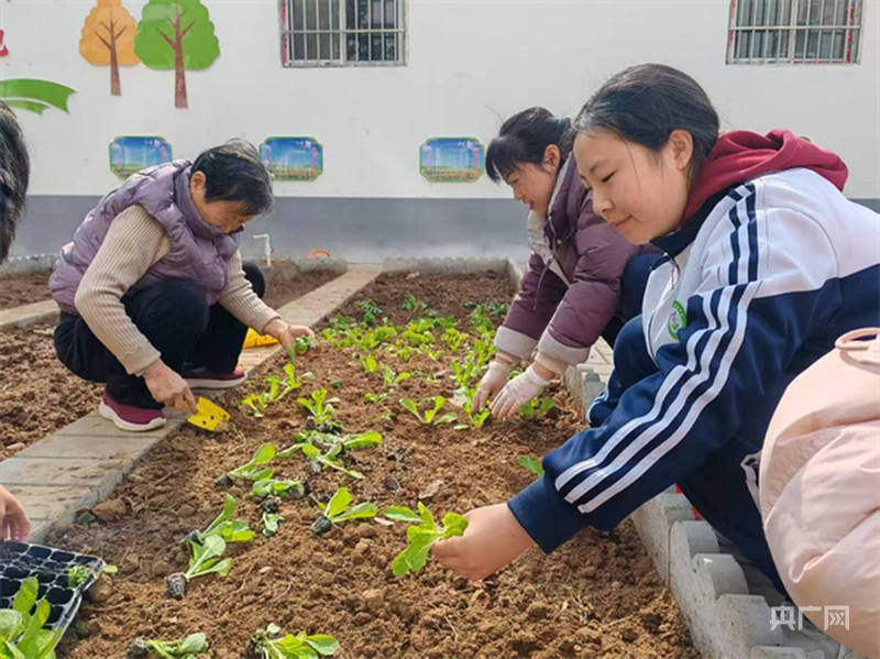 漯河市郾城区第二实验中学组织开展劳动教育实践活动