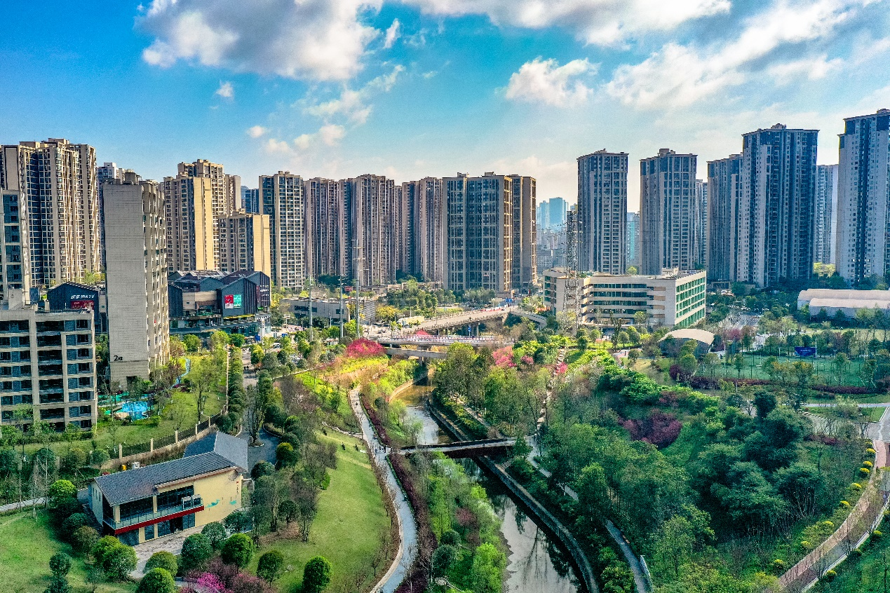 绘就美丽生态图 九龙坡区"美丽生态城"建设取得显著进展