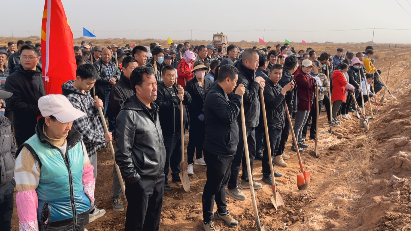 全域荒漠治理 共建柳源绿色梦