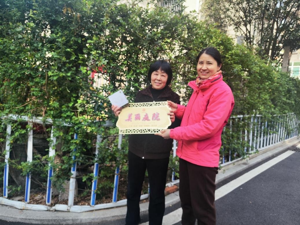 肥西县上派镇：蔷薇花墙里的生命绽放(图2)
