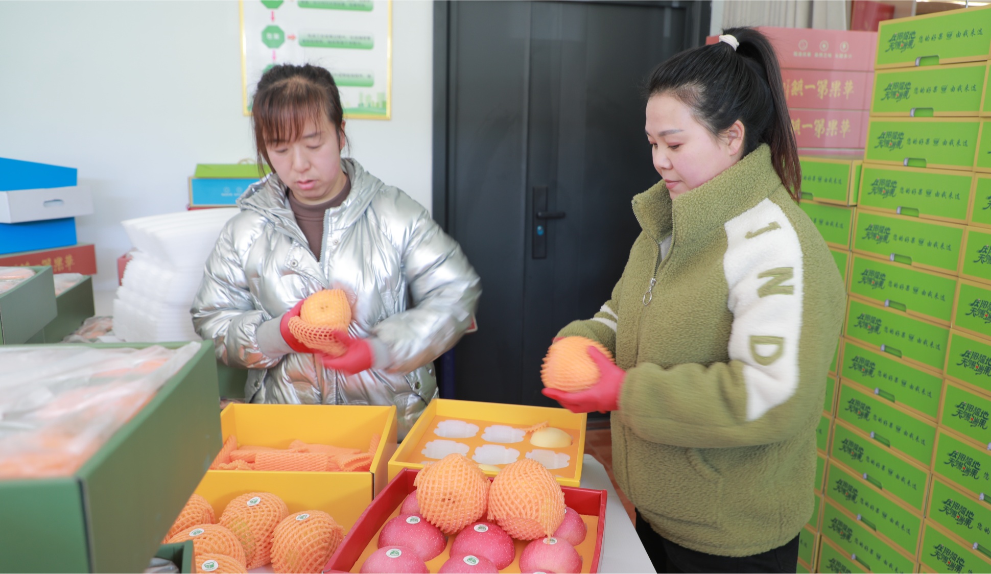 甘肃庆城：全链条发力助推苹果产业提质增效开云体育平台(图3)
