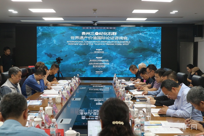 “贵州三叠纪化石群”世界遗产价值国际论证咨询会召开