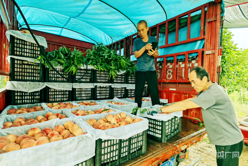 河南新野：特色产业铺就致富路