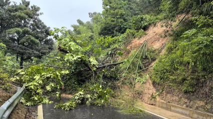 丽水部分地区发生内涝 各地积极抢险