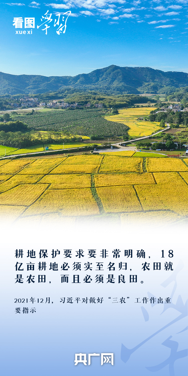 看圖學(xué)習(xí)丨“守住耕地這個命根子” 總書記心系耕地保護