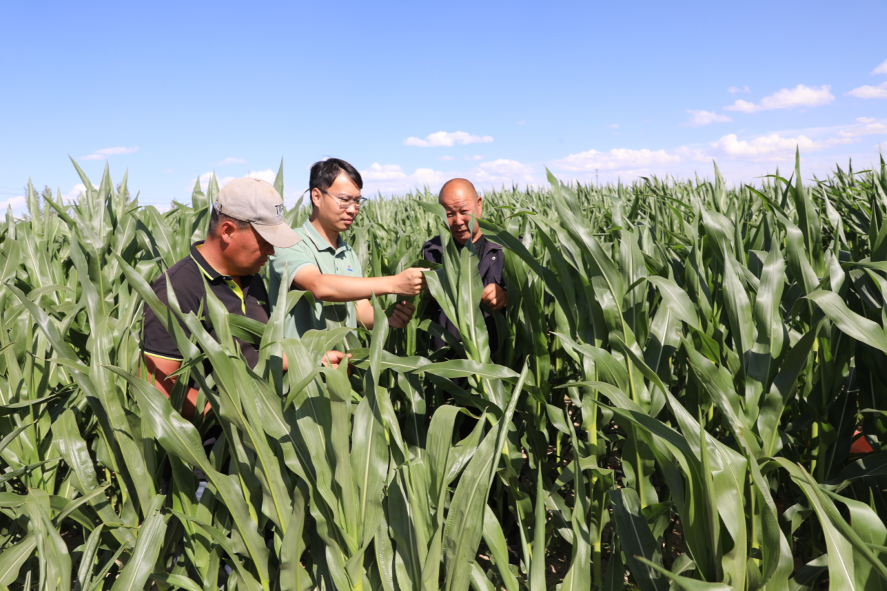 现在可以种植什么农作物 dbafc58035e85175213039358579688010.png?auth=5d634f8d6c5a8f1ed3b731158c46e7aa