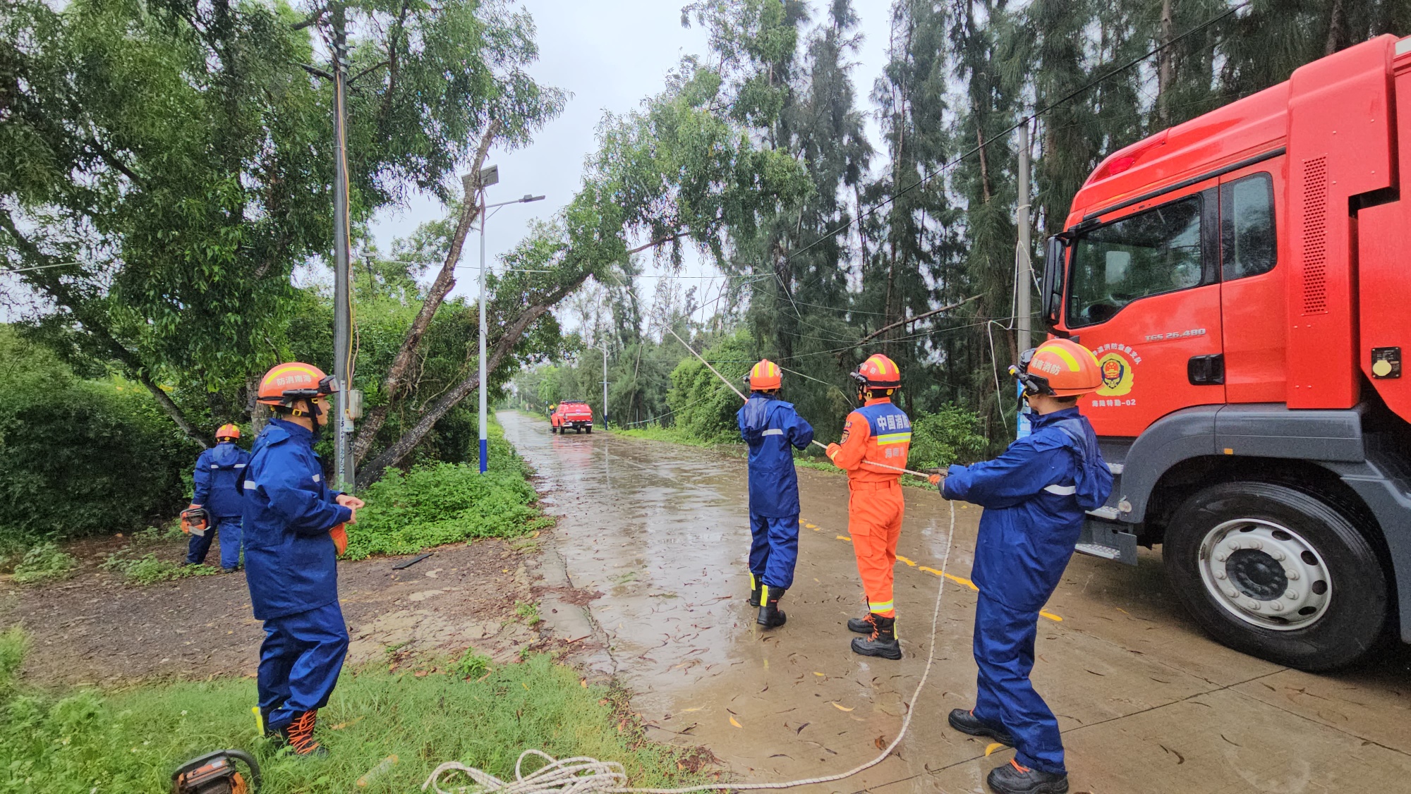 必发BIFA官方网站|B站的老司机都从这里上车了|大风致树木
