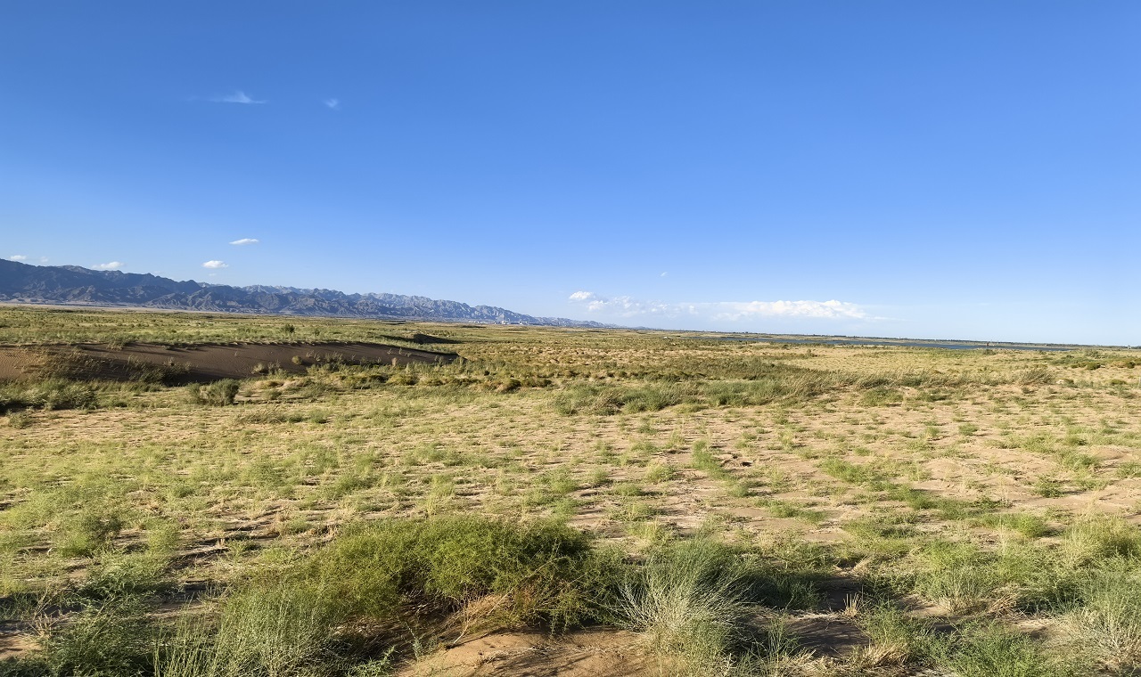 乌兰布和沙漠东缘400里防风固沙带全线贯通