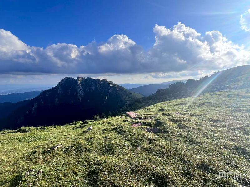 京津冀避暑游新选择 山西“芦芽山”全域旅游焕新登场