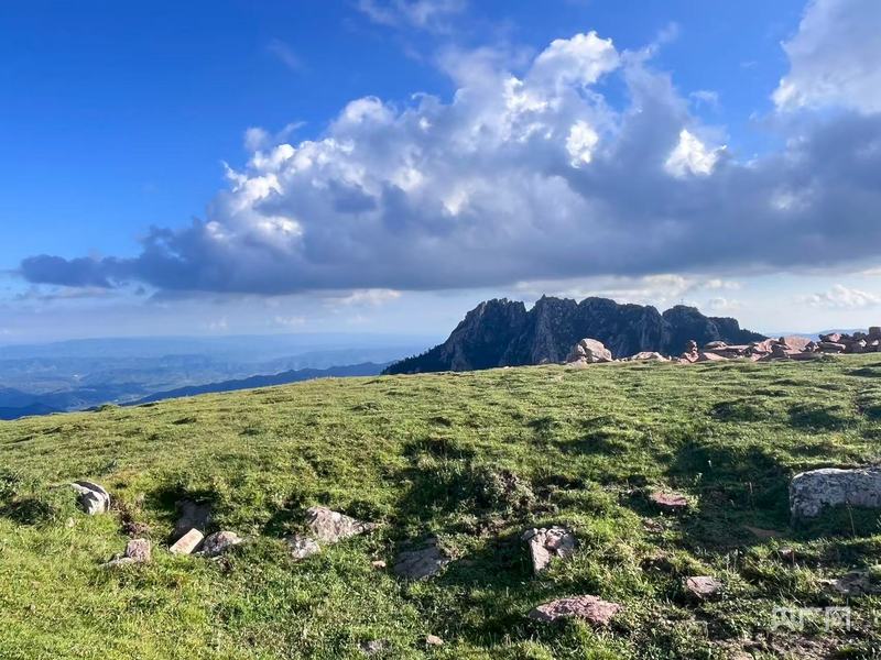 京津冀避暑游新选择 山西“芦芽山”全域旅游焕新登场