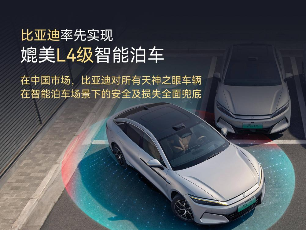 比亚迪_比亚迪全球销量增长趋势_比亚迪2025年上半年财报