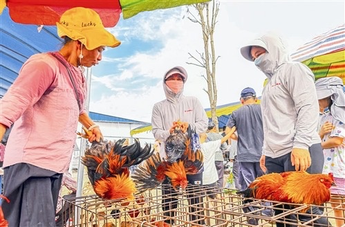 赶圩热 交易忙_央广网