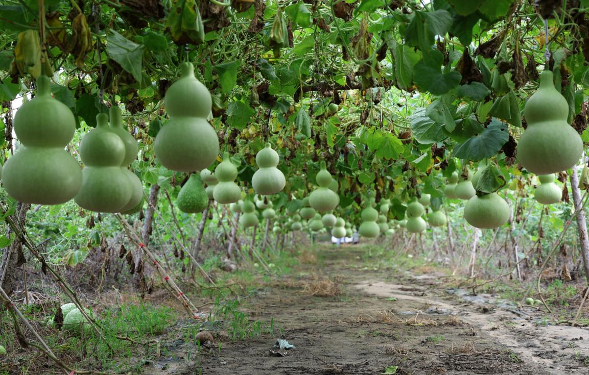 2962d95a3e117175704306792617389510.png?auth=614c7c2550cd339182394190d9940640