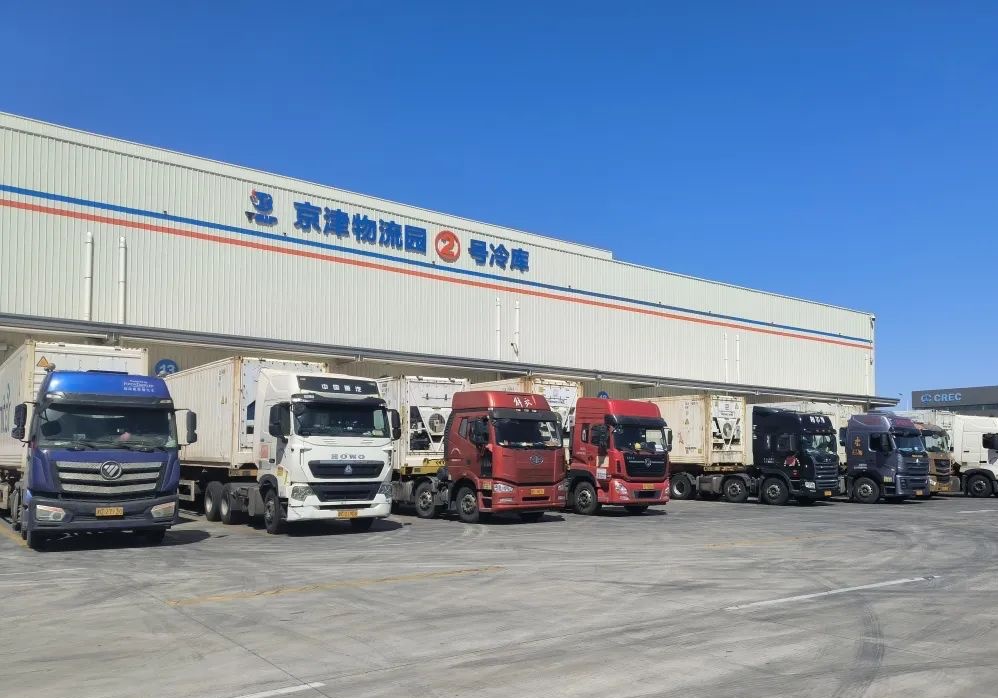 瓣瓣同心京津冀携手前行处处新