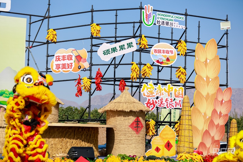 宁夏银川市丰收节花式活动点燃乡村活力