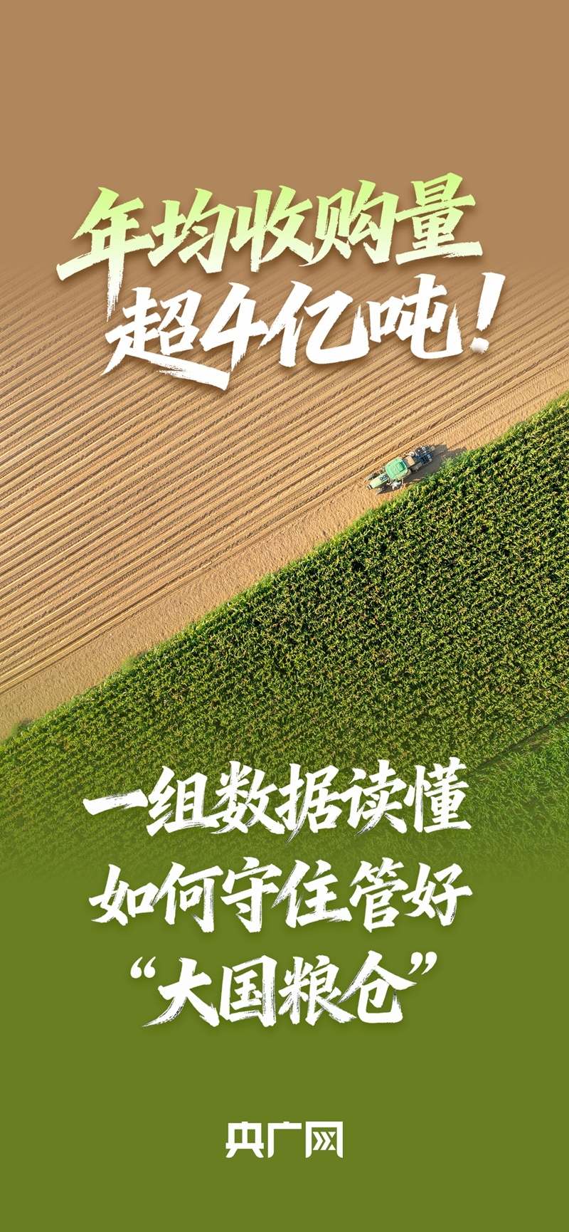数读“十四五”答卷丨年均收购量超4亿吨!一组数据读懂如何守住、管好“大国