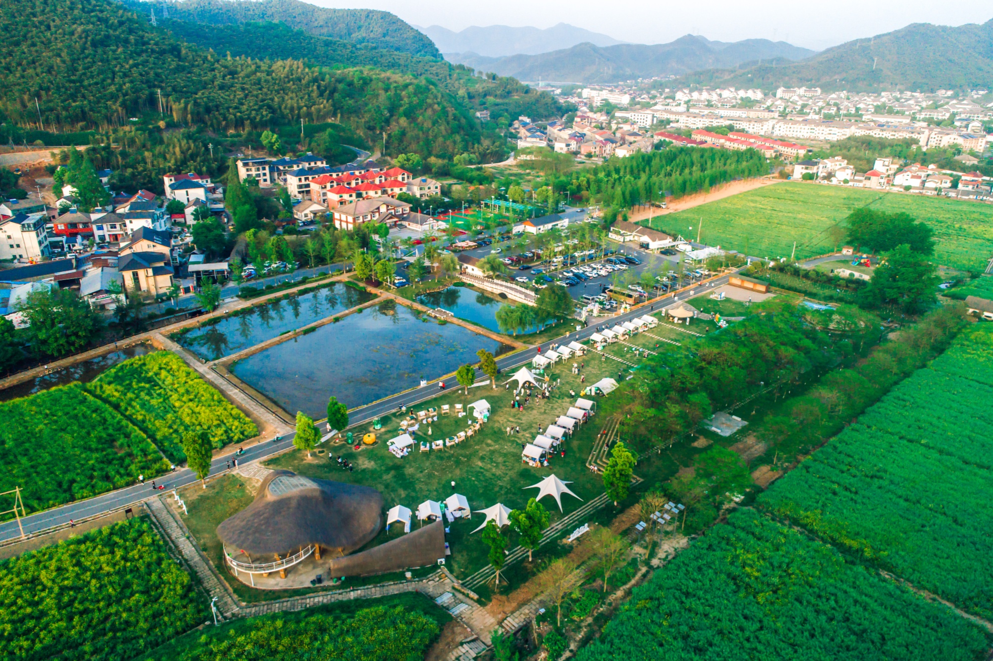 58200985bd92a176053420305613559210.jpg?auth=17990a26fc6f22f994fbfcc113c85f2c