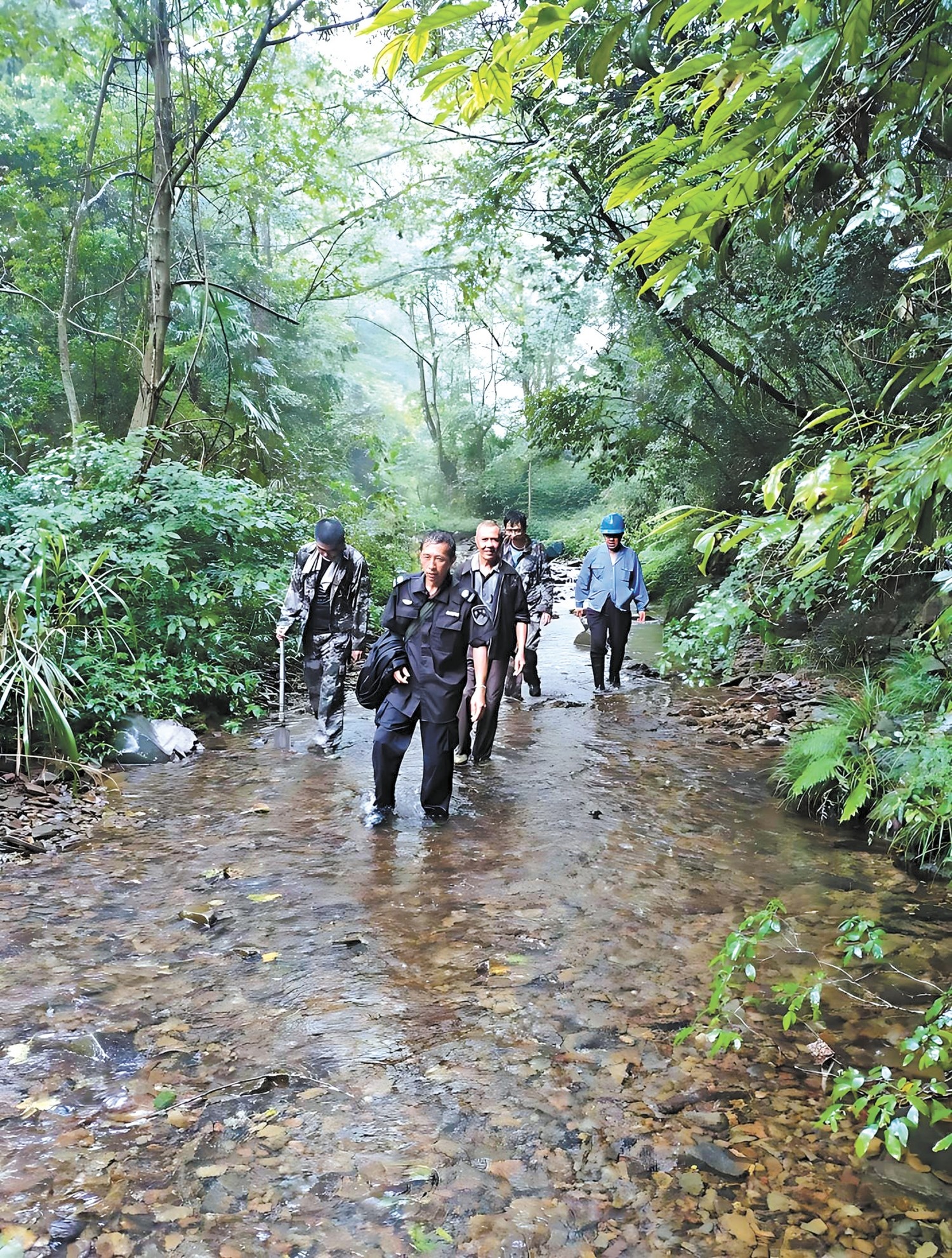 包训详：九岭山的“守护神”