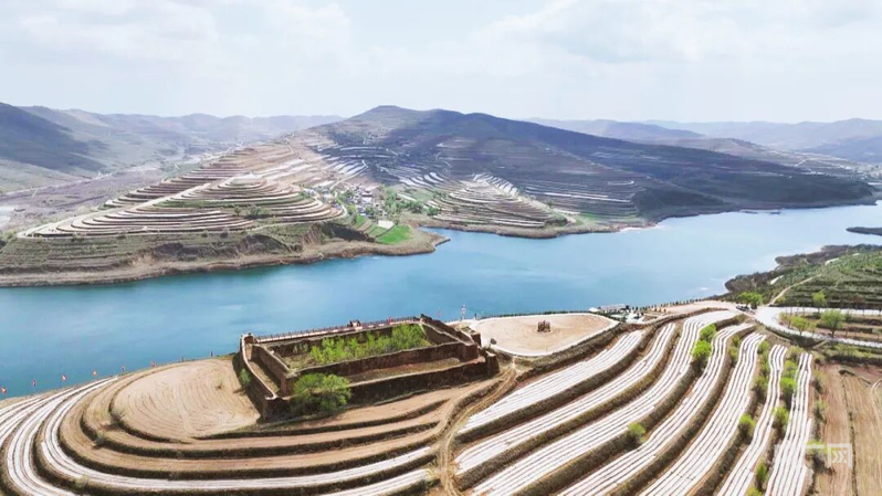 昔日贫困村 今日打卡地：闽宁协作写下党岔村致富答卷