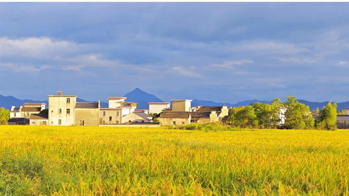 碧山村的秋日景象。本报记者袁中锋摄