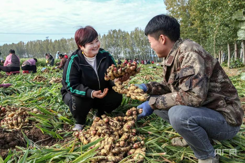 64f36be2cf251763434374103359950011.png?auth=6c66c0ce99b45a12d6d2901b71e56cc0