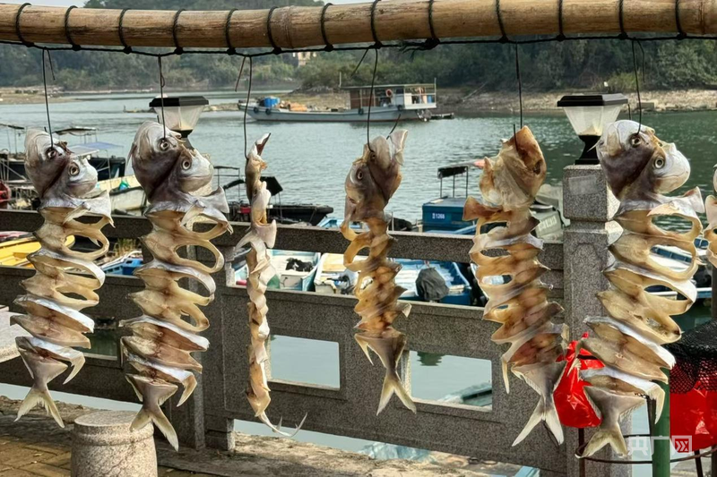 广西钦州：“山海岛城”焕新颜