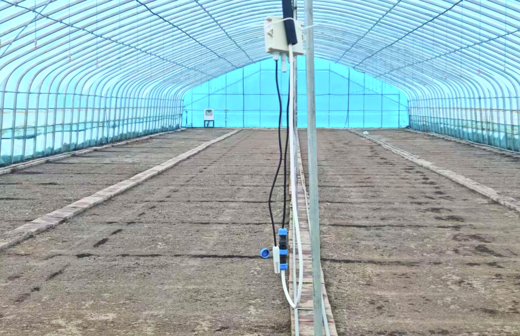 UC国际聚焦北大荒丨创业农场：鸿蒙寒地棚室无人化监控平台示范成功