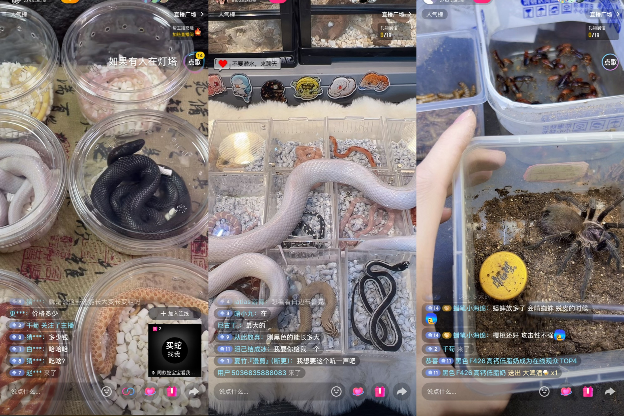 家雨燕直播- NBA直播- 足球直播- 世界杯直播 LIVE门口“银发餐桌”如何做好一桌“好饭”？记者探访