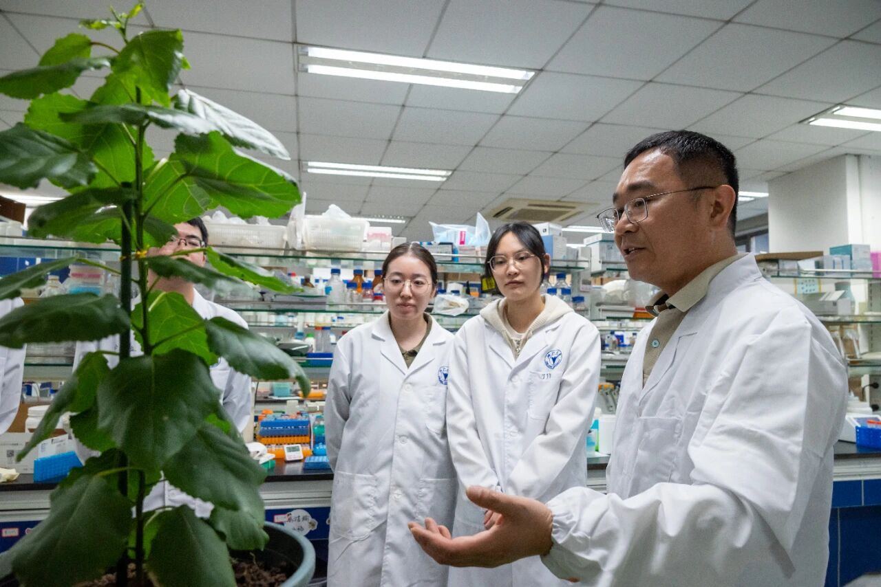 浙大团队让“潘多拉星球”变为现实