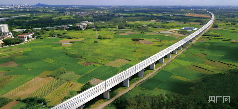 南粤贯长虹 湾区新图景——从广湛高铁感受广东速度