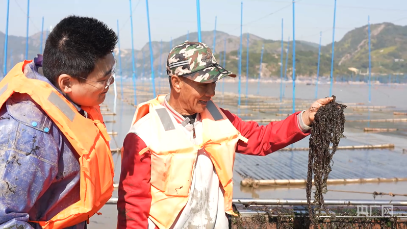 记者手记：行走间，体悟“新”潮澎湃丨行进的海岸线