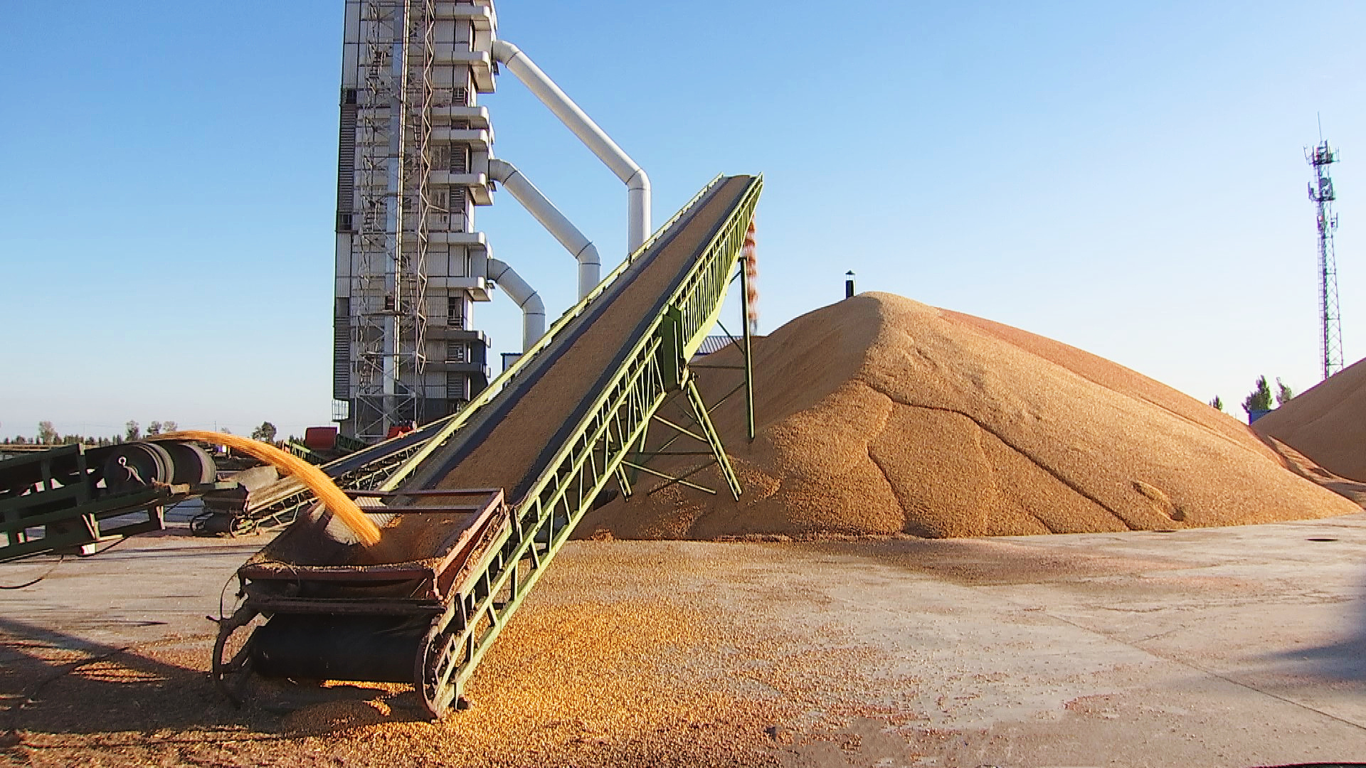科左中旗：粮食二十一年连丰 沃野良田好“丰”景