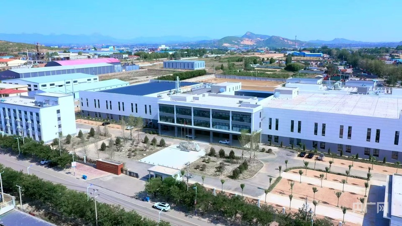 山水相逢·生态赞皇丨一颗枣一片瓷绘就产业发展新图景(图4)