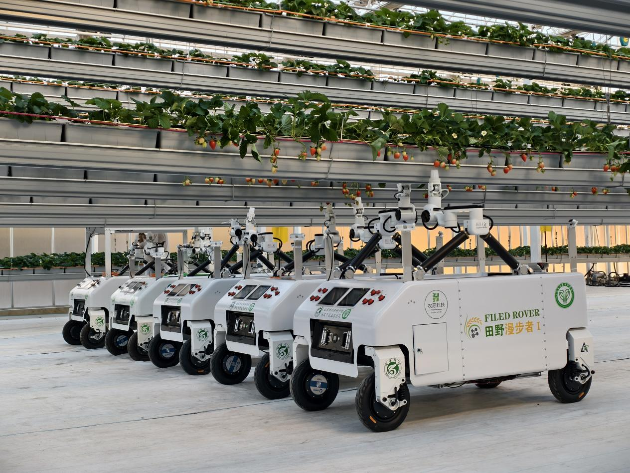 中国经济一月纪事丨机器人、无人机、AI大脑、物联网……“未来农场”原来这么酷！(图2)