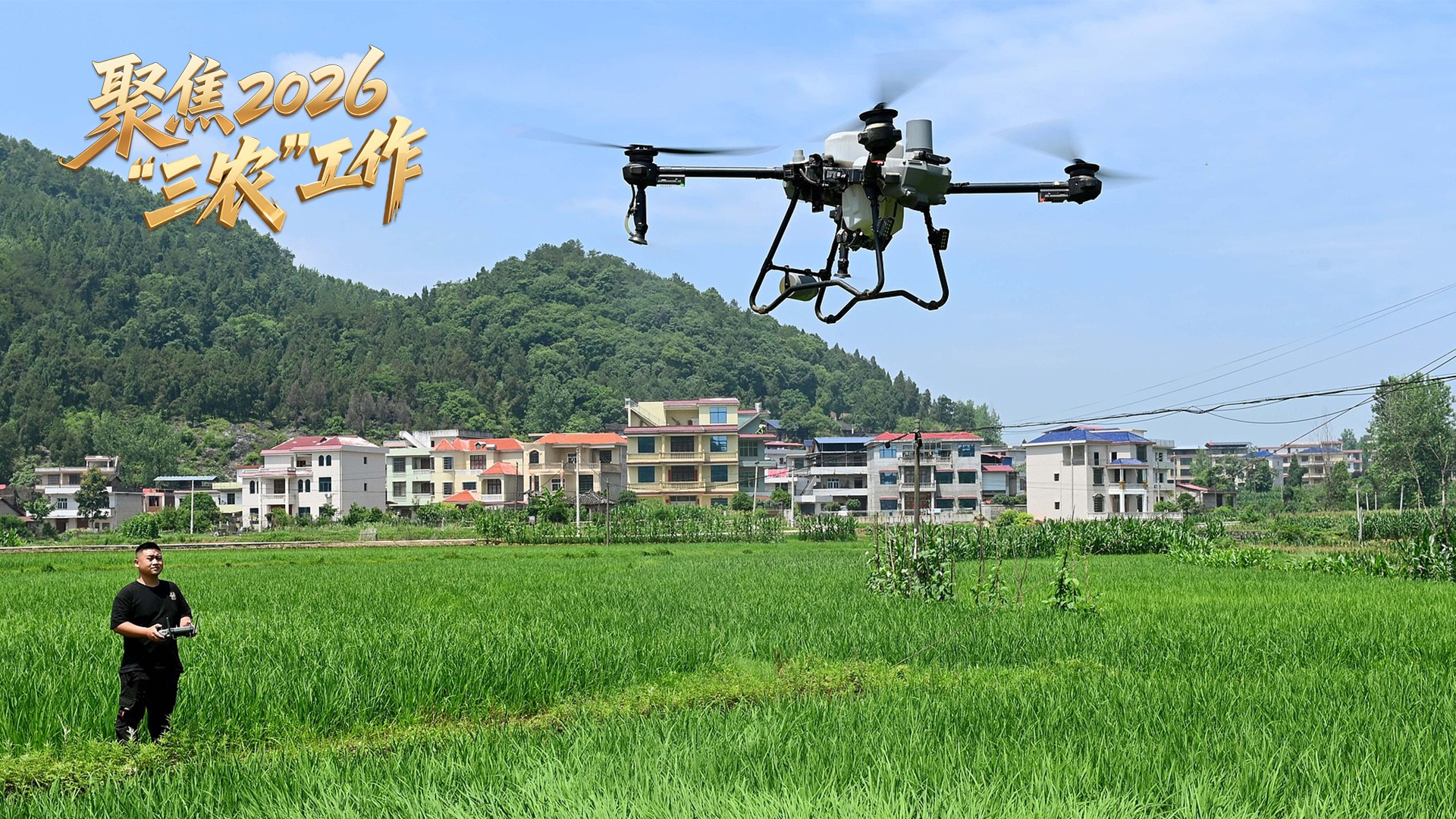 央广网·中央广播电视总台