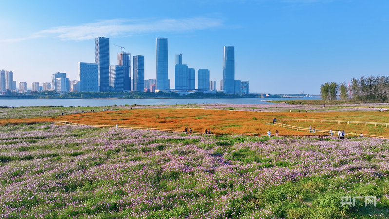 聚焦2026江西省两会|专访省人大代表胡俊峰:推动文旅体商实现更深层次融合发展(图3)