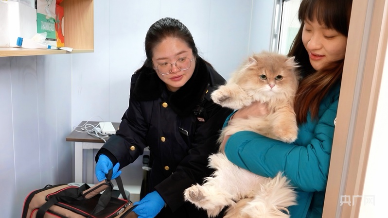 宁夏迎来春运首位“萌客”