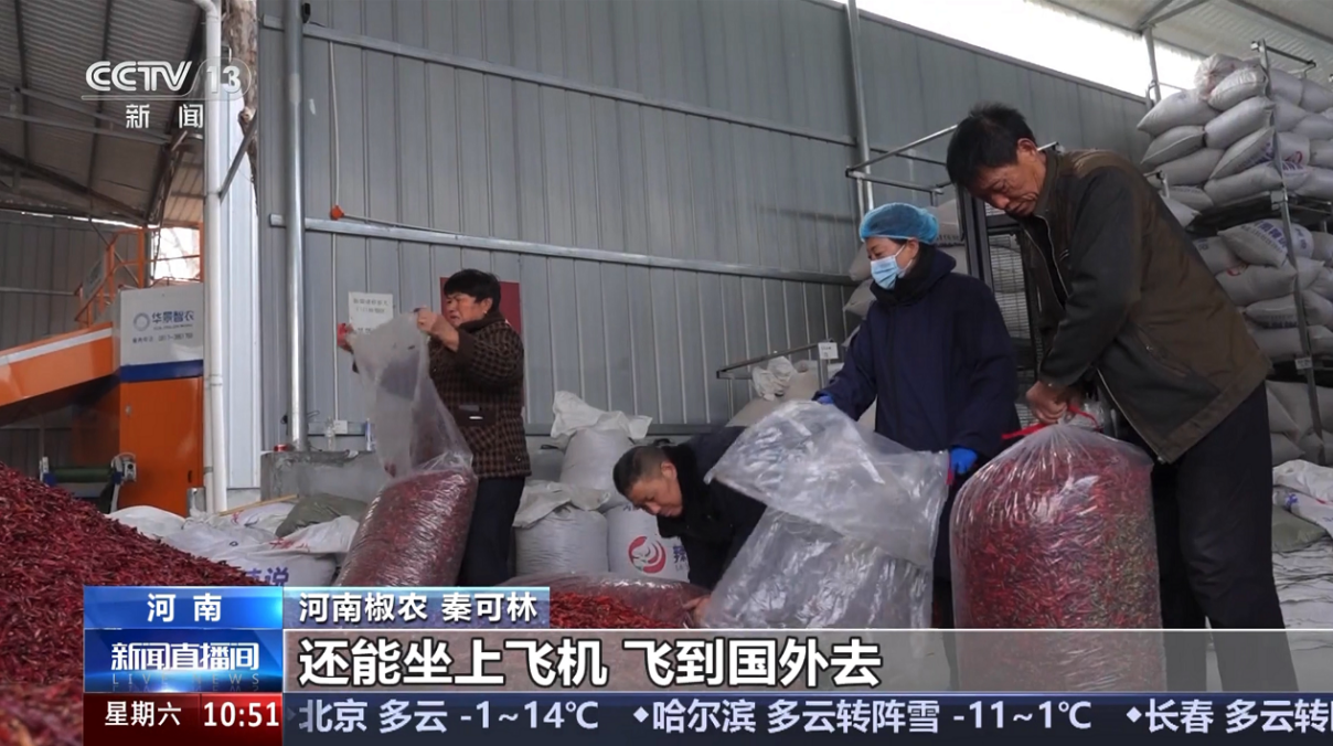 “一条鱼游出一条产业链”，央视聚焦“鱼你模式”