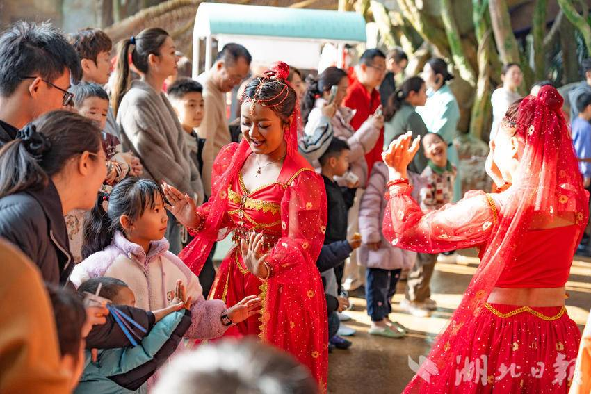 树屋一房难求新春揽客近三万武汉城建开元森泊成家庭出游热门地(图1)