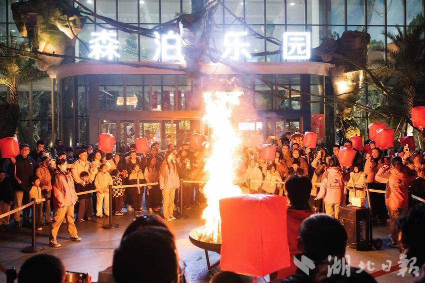 树屋一房难求新春揽客近三万武汉城建开元森泊成家庭出游热门地(图4)