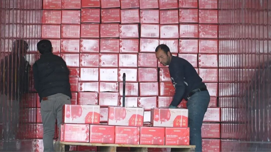 阿克苏市智能冷库助力果品走向全国远销海外(图1)