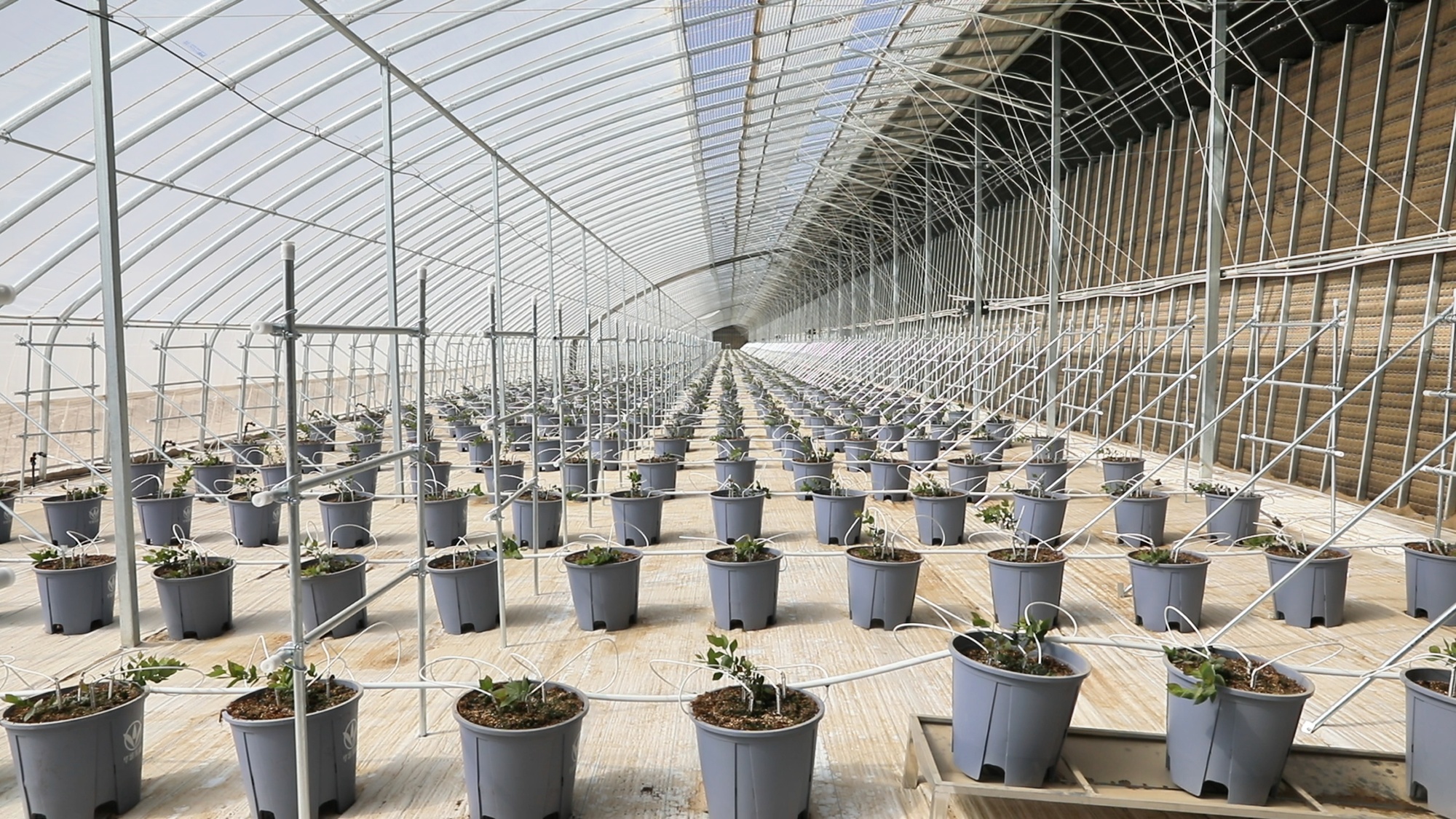 墨玉设施农业提质增效 全力打造“菜药果”高效特色产业体系