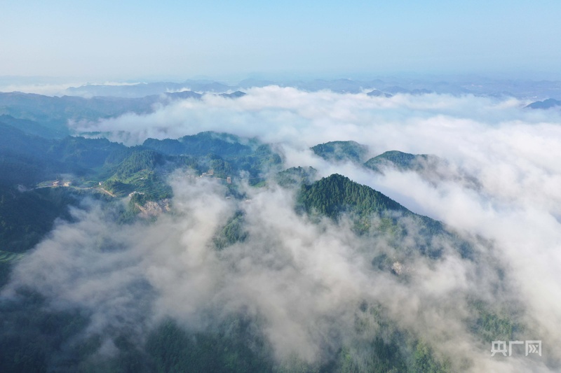 擘画“十五五”·黔进新征程|杨凯:以“闯”的胆识开拓新局绘就三都高质量发展壮丽画卷(图4)