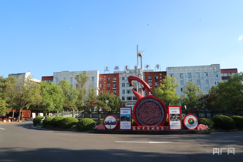 擘画“十五五”·黔进新征程|杨凯:以“闯”的胆识开拓新局绘就三都高质量发展壮丽画卷(图6)