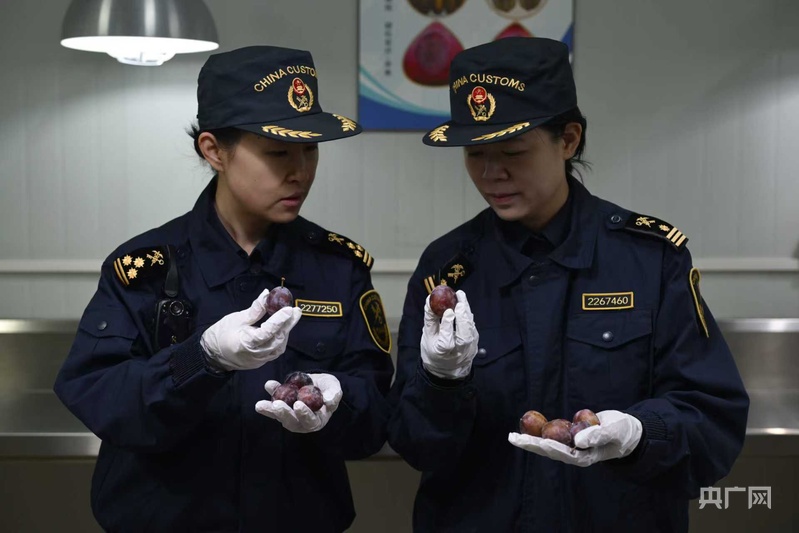 数读中国开局新活力丨同比增长183%彰显外贸“开门红”强劲开局(图3)