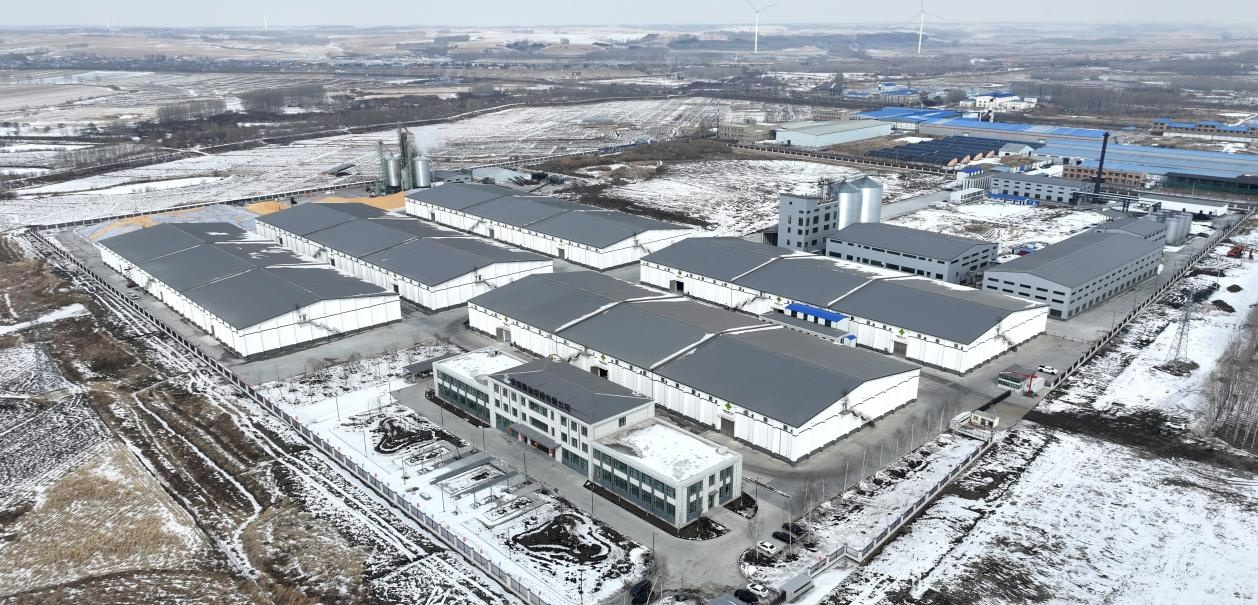 绥棱：马力全开忙生产奋战首季“开门红”(图4)