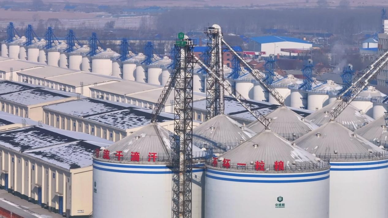 绥棱：马力全开忙生产奋战首季“开门红”(图3)